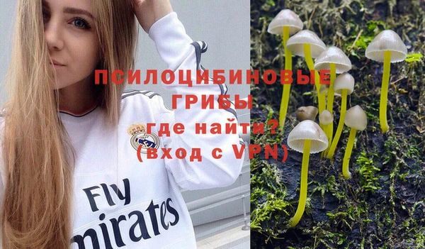 jwh Володарск