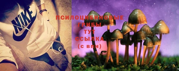 ГАЛЛЮЦИНОГЕННЫЕ ГРИБЫ Волосово