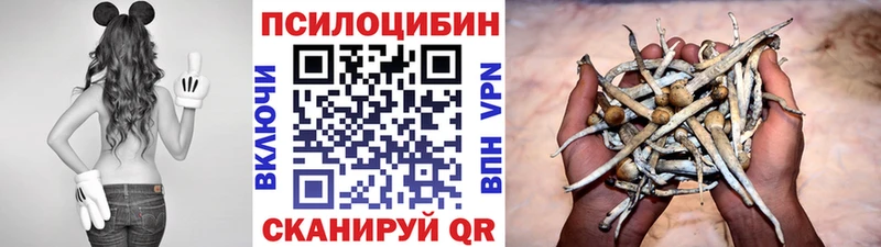 купить наркотики сайты  Фурманов  Псилоцибиновые грибы ЛСД 